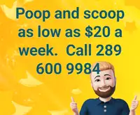 Poop and scoop/ dog waste removal