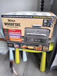 Ninja Woodfire grill