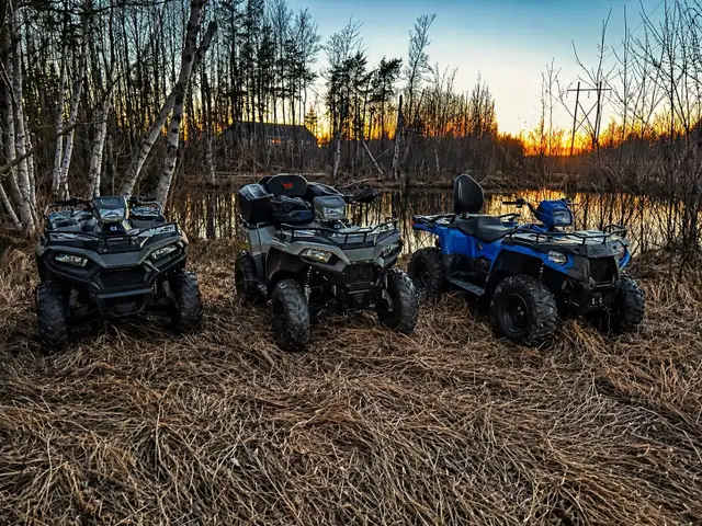 ATV TOURS !!444242570050293761