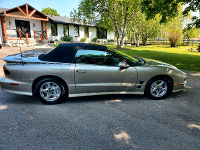 2001 Pontiac Firebird Trans Am Convertible