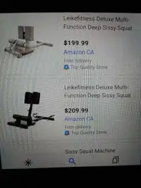 Leike Fitness back extension & sissy squat combo machine $150