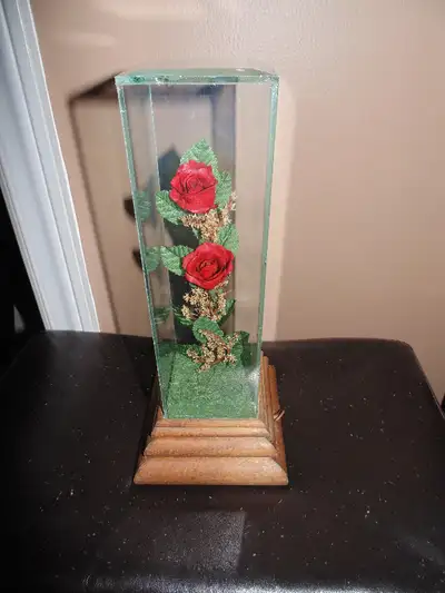 Vintage Edelweiss Ruby Red Life time Real Rose Music box. Plays Edelweiss