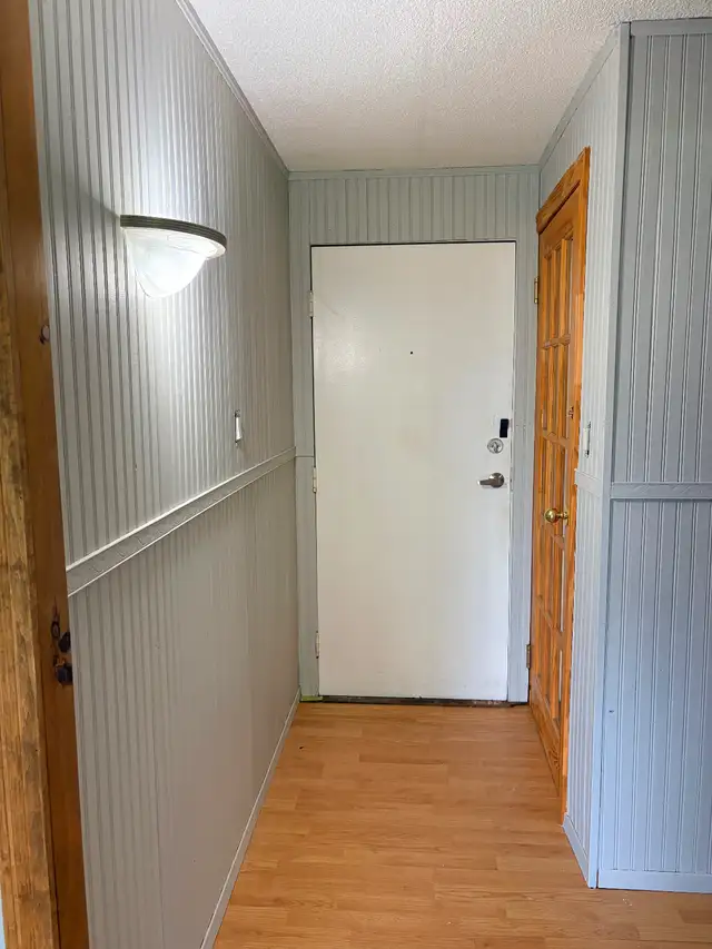 Professional Painter507645034381987844