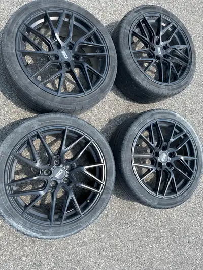 Rims have no curb scratches tires average condition