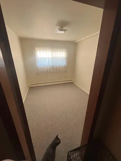 ROOMMATE WANTED $500 A MONTH