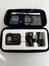 GO PRO HERO 8- FULL SET WITH CASE 