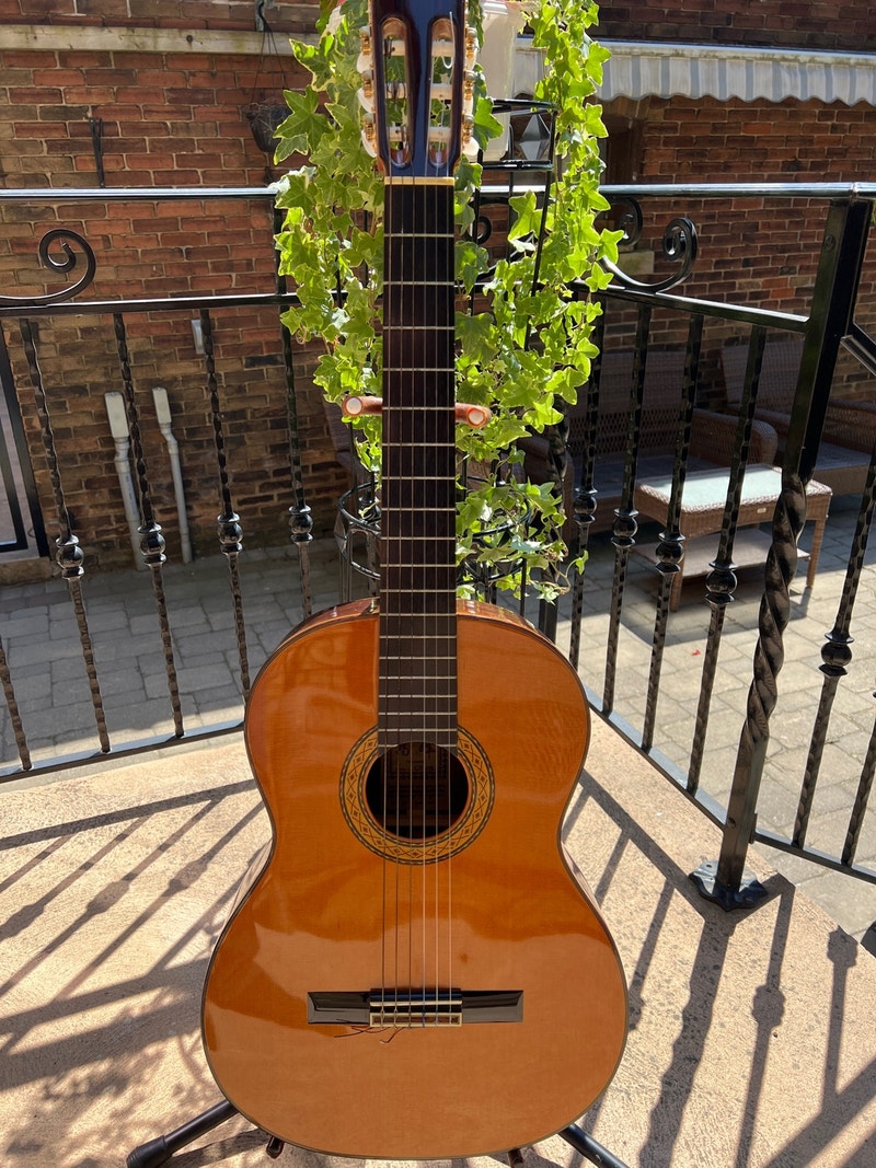 Takamine classical vintage acoustic guitar Guitars City of Toronto