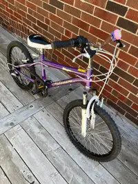 20 inch kids mountain bike