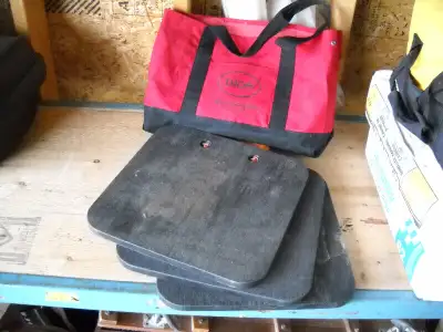 pickup in shanty bay oro line 2 pickup only 3 pads plus carrying case made by Dica great condition