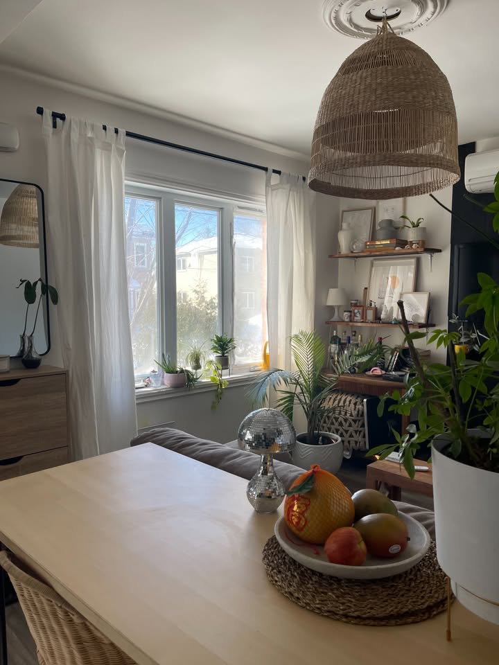 VIEUX-LONGUEUIL | 1 CHAMBRE | RÉNOVÉ | DISPONIBLE POUE SEPTEMBRE — photo 3