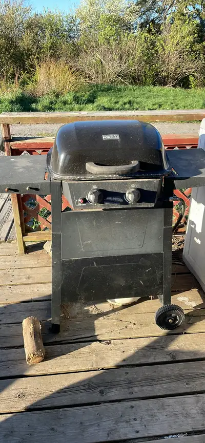 Propane BBQ, View more
