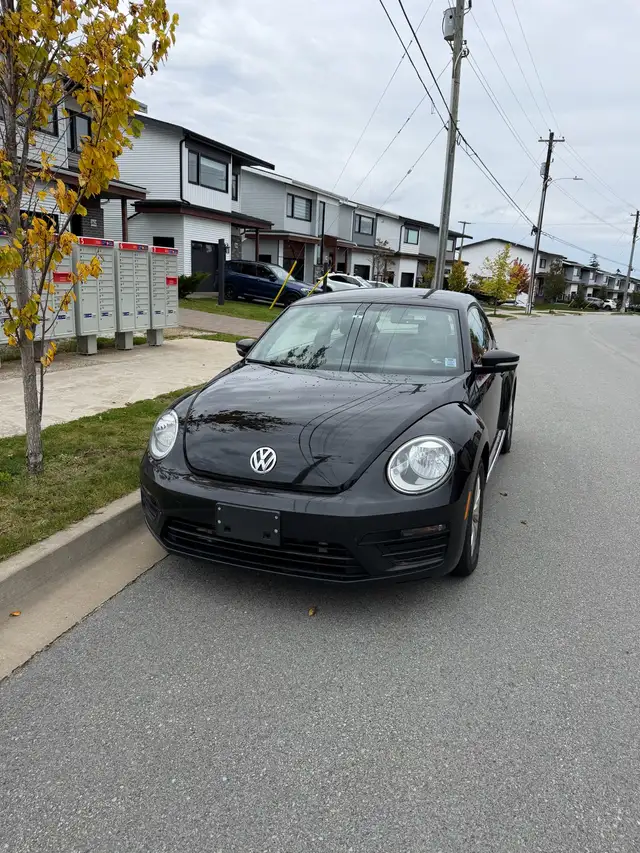 2018 VW Beetle598246624215050243