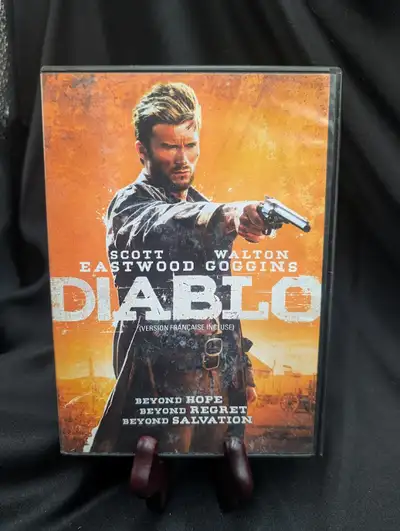 A young civil war veteran is forced on a desperate journey to save his kidnapped wife. Director Lawr...
