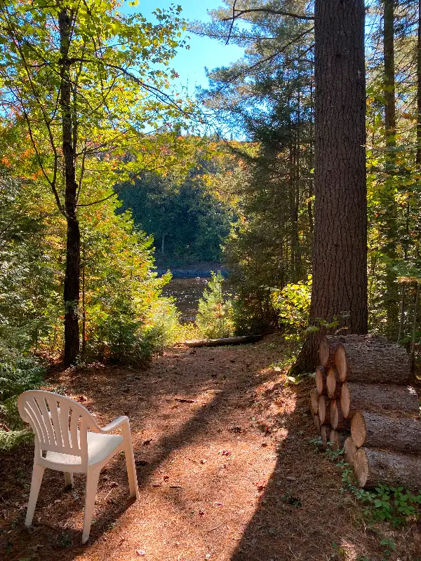 WATERFRONT NON-FLOODABLE TERRAIN62864382701313124