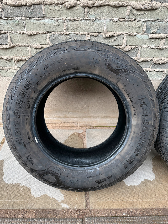 Antares Majoris R1 All Season Tires - 265/65R18 in Tires & Rims in Cambridge - Image 3