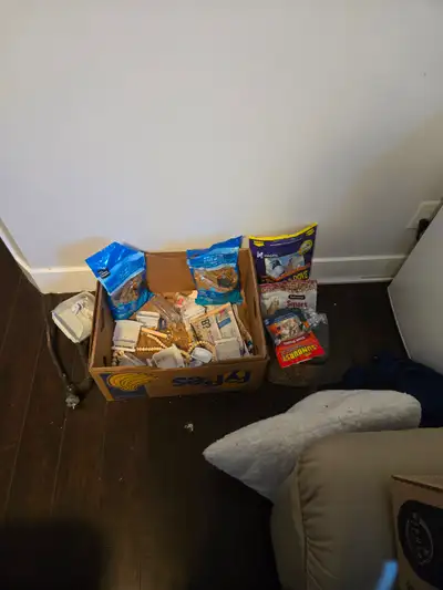 Cockatiel selling, View more