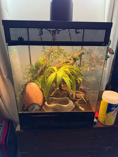 Thrive Tropical Reptile Terrarium Essentials Kit - 30 Gallon..comes with auto misting , drainage lay...