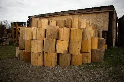 Decorative Cedar Multipurpose Rounds - TIMBER RIDGE FIREWOOD, View more
