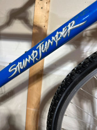 Specialized StumpJumper - vintage mountain bike