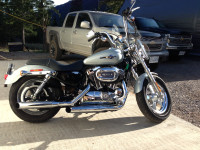 2011 Harley Davidson Sportster 1200 Custom