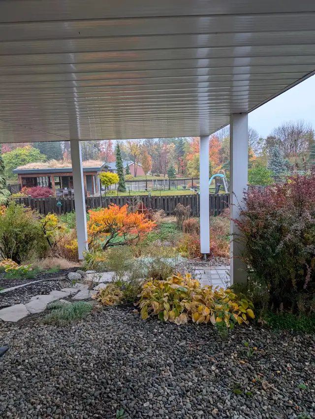 3 1/2 for Rent on Exceptional Land