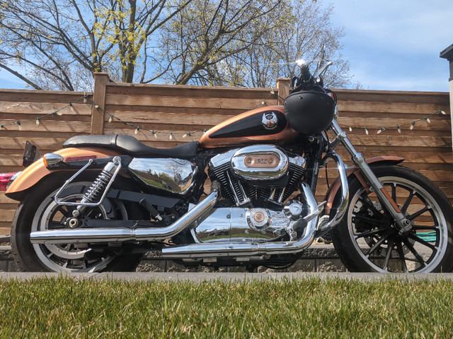 2008 Harley Davidson XL1200 Anniversary Edition in Street, Cruisers & Choppers in City of Toronto