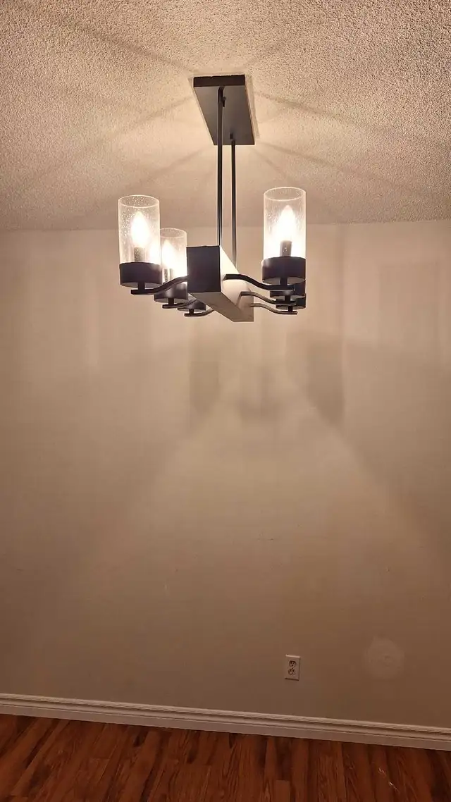 Modern dark wood Pendant 6 Lights  Glass Shades in Indoor Lighting & Fans in Mississauga / Peel Region - Image 3