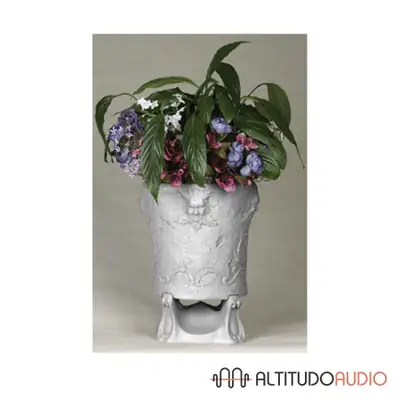 Angstrom Sound Terrain Planter, View more