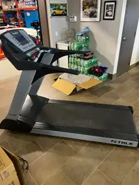 Treadmill - PS300 True 