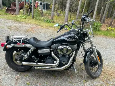 2017 street bob for sale sale