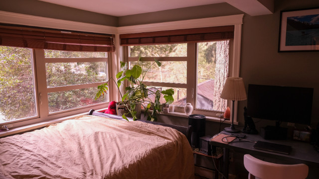 Dream Sublet in the Rainforest of Deep Cove! in British Columbia - Image 4
