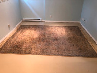 Excellent quality rug in perfect condition