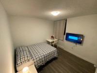 Room for Rent Downtown Toronto - Available 01 May - Female Only