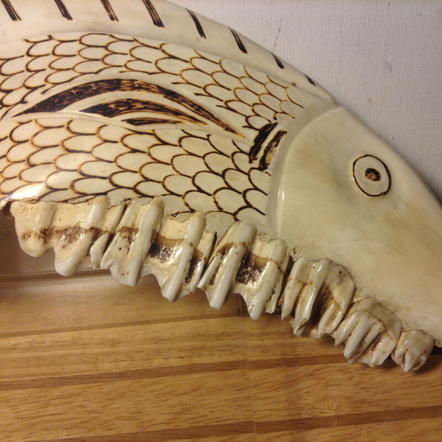 Antique Jawbone/Teeth Fossil Bone Fish Marlin in Arts & Collectibles in Vancouver - Image 2