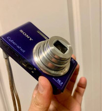 SONY Cyber-Shot Digital Camera DSC-W730 16.1 MP 8x Zoom Blue