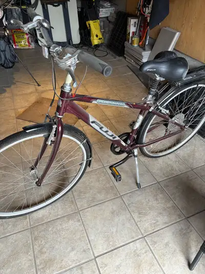 Women’s bicycle. Barely used but in need of a tune up.