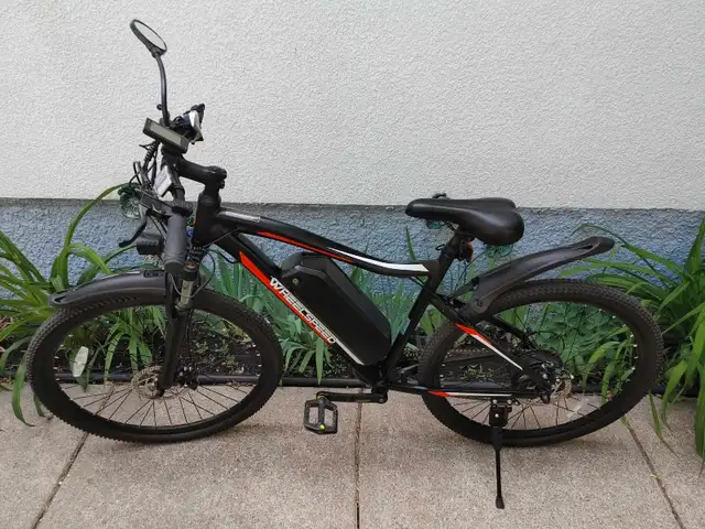 Wheelspeed Aries E-bike 27.5"62854390342403121