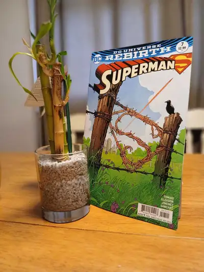 Superman Rebirth #7, View more