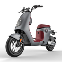 Exceptional Performance E-Scooter - INNO7 Plus- Li by Luyan