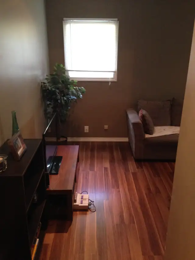 one bedroom heat lights hot water centrally located in Long Term Rentals in Charlottetown - Image 4