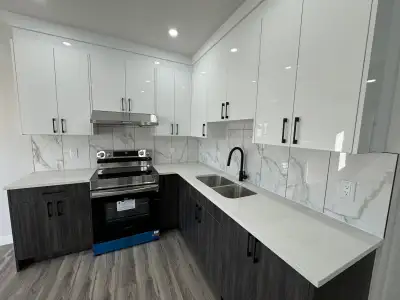 This newly finished legal walkout Basement for rent, back on Green space, beautiful for newcomer to...