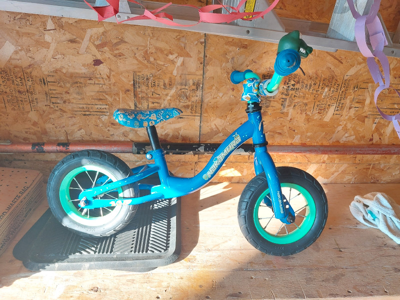 Nakamura shop strider bike