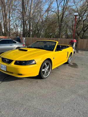 2004 Ford Mustang