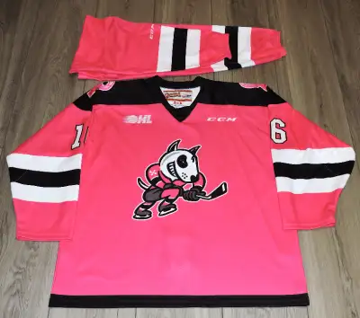 Niagara IceDogs Singer Hockey Fights Cancer Game Worn Jersey