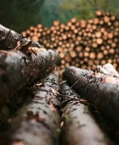 **Firewood for sale**, View more