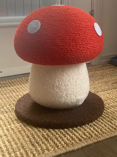 Mushroom cat scratcher , View more