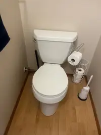 Kohler Toilet