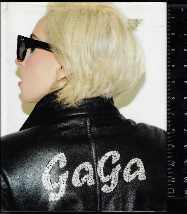 Lady Gaga,Hardcover Book in Non-fiction in Sudbury