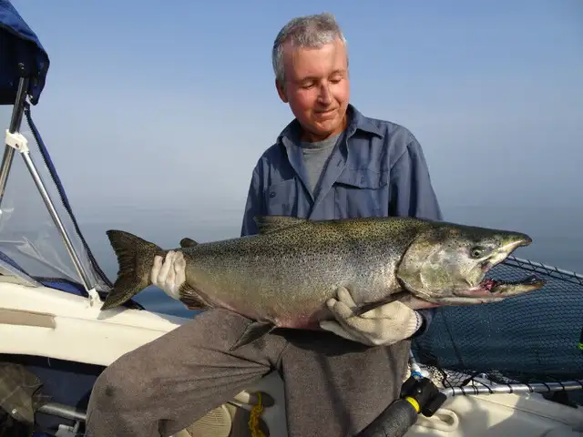 Salmon Catcher Fishing 4 hrs $380, up to 4 fisherman special62864364467714124