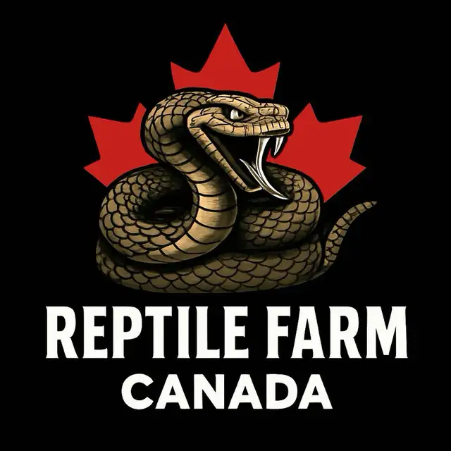 Educational Reptile Shows65689559260931120